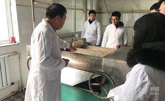 返鄉(xiāng)創(chuàng)業(yè)、貢獻家鄉(xiāng) 小食品生產(chǎn)線塑造社會責任感的實踐與思考