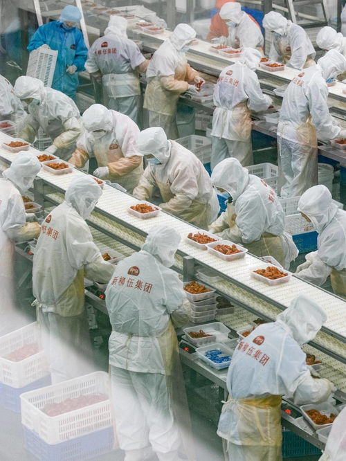 深讀丨解答 196 的安全難題 食品包裝機械的挑戰(zhàn)與應對